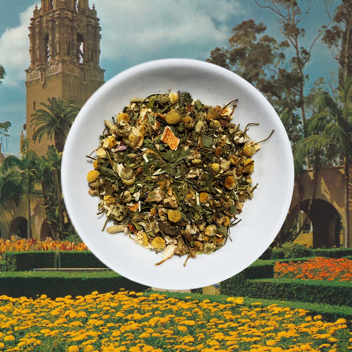 Chronic Wellness Tea — detail