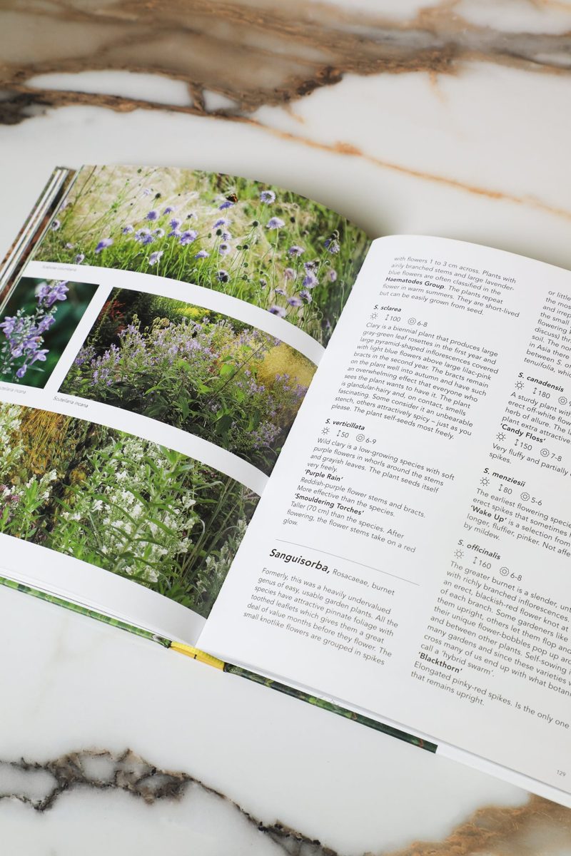 Planting The Natural Garden — detail